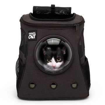 Cat - Supplies - Travel