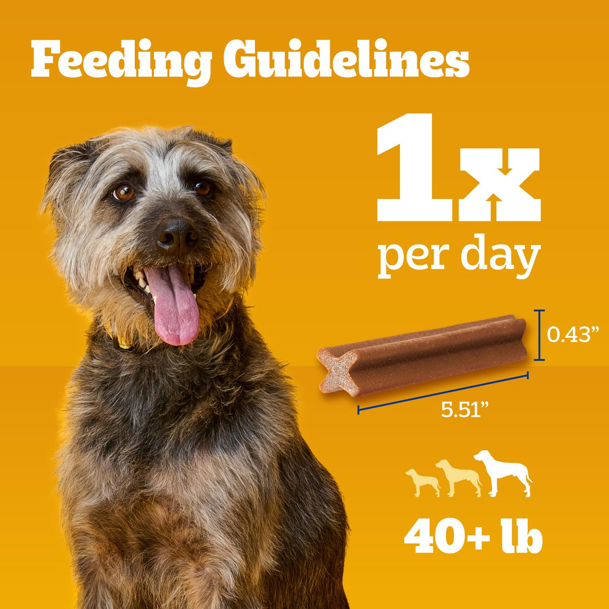 Pedigree Dentastix Large Beef Flavor Dental Treats