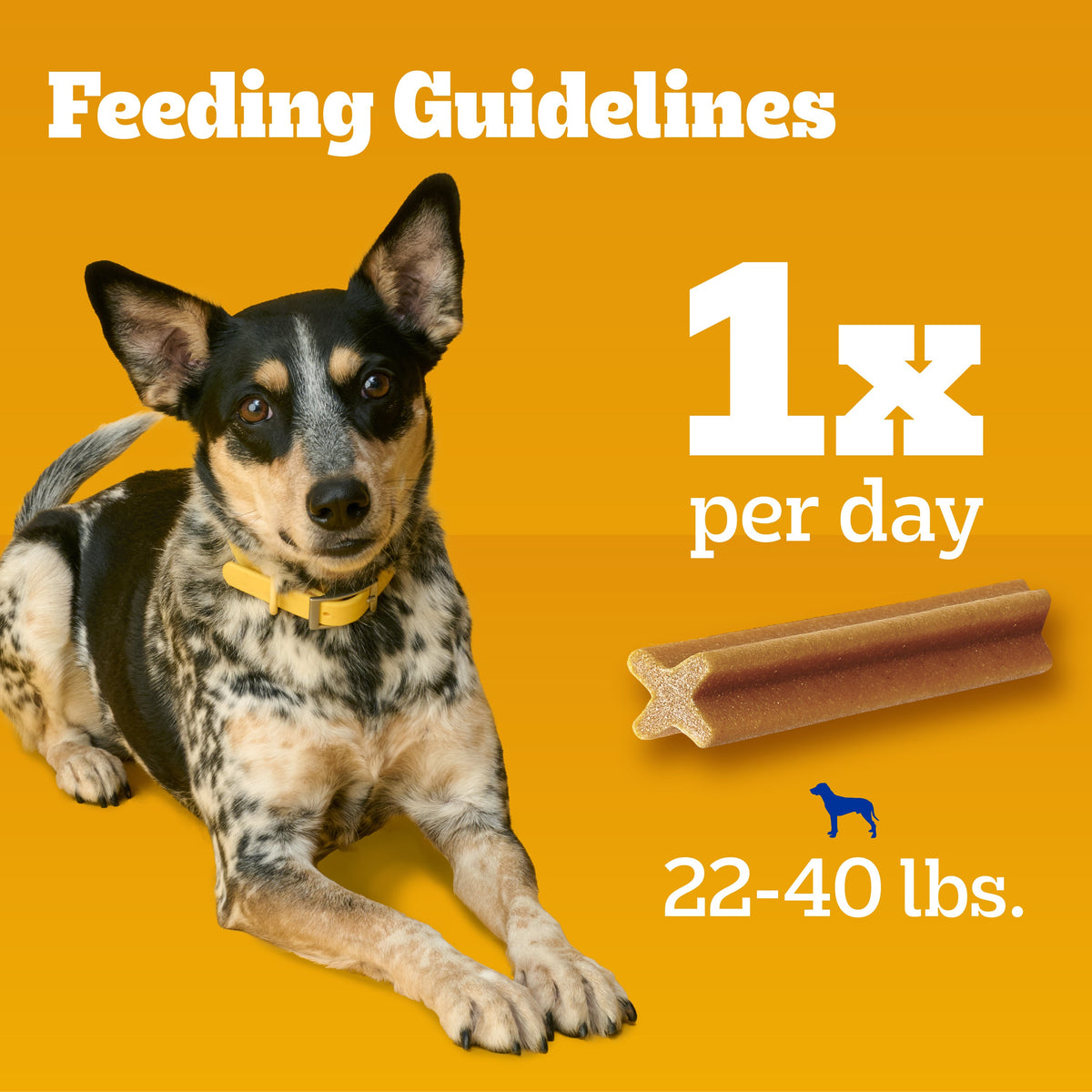 Pedigree Dentastix Small/Medium Original Flavor Dental Treats