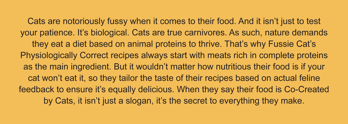 About Fussie Cat