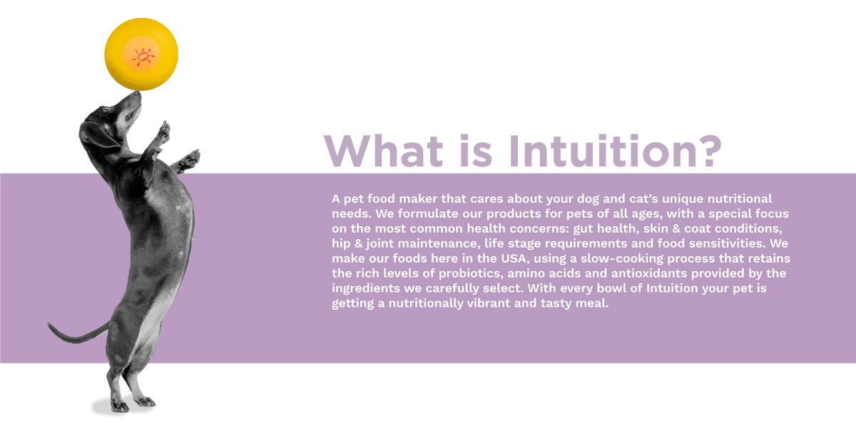 Intuition