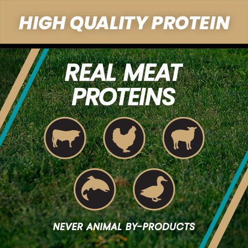 High quality protein