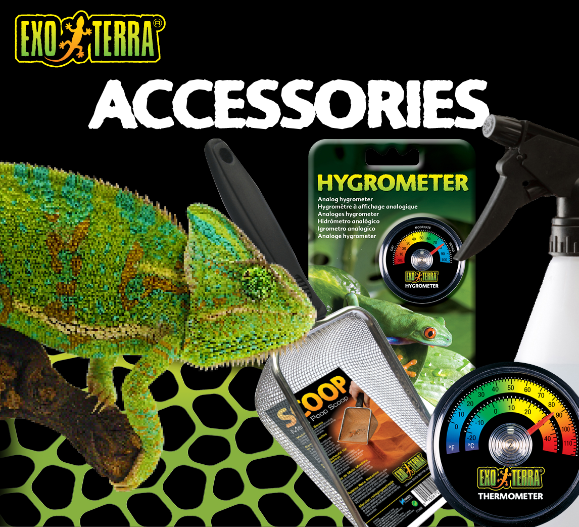 Accessories