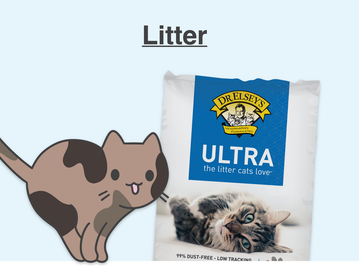Cat Litter