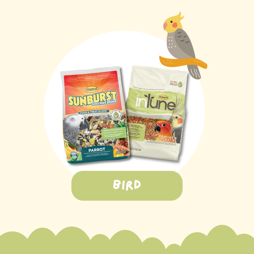 Bird