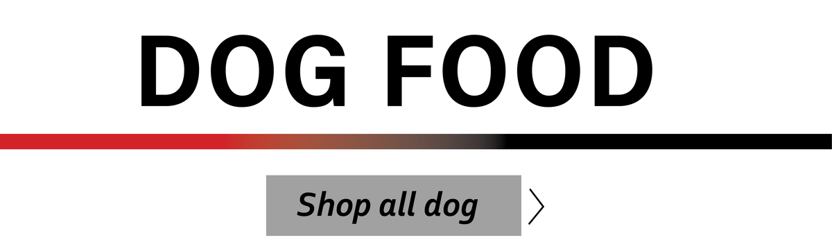 Shop Dog
