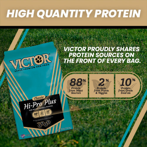 High quantity protein