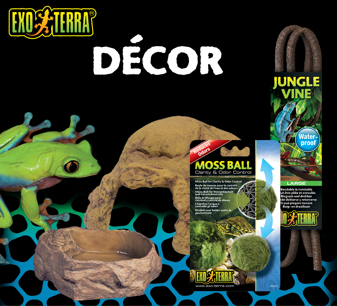 Decor
