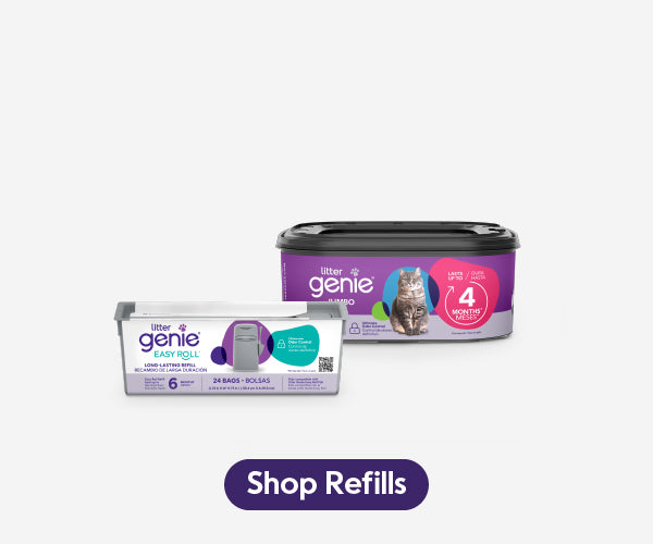 Shop refills