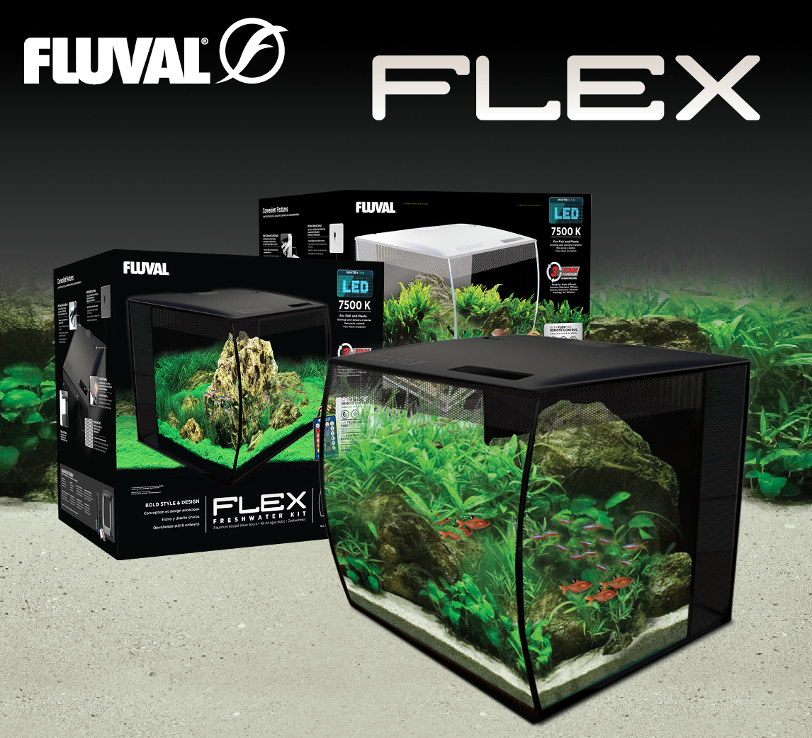 Aquarium Kits