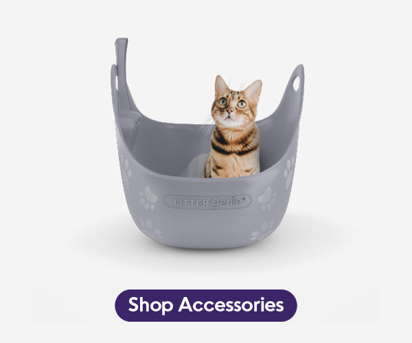 Shop accessories