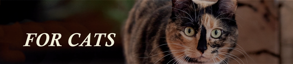 For cats