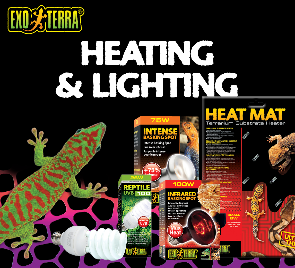 Heating & Lighting