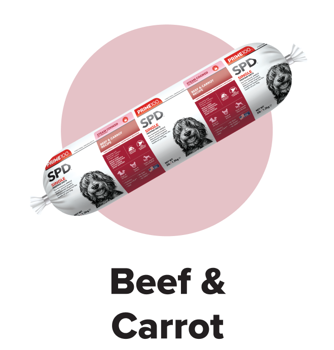 Beef & Carrot