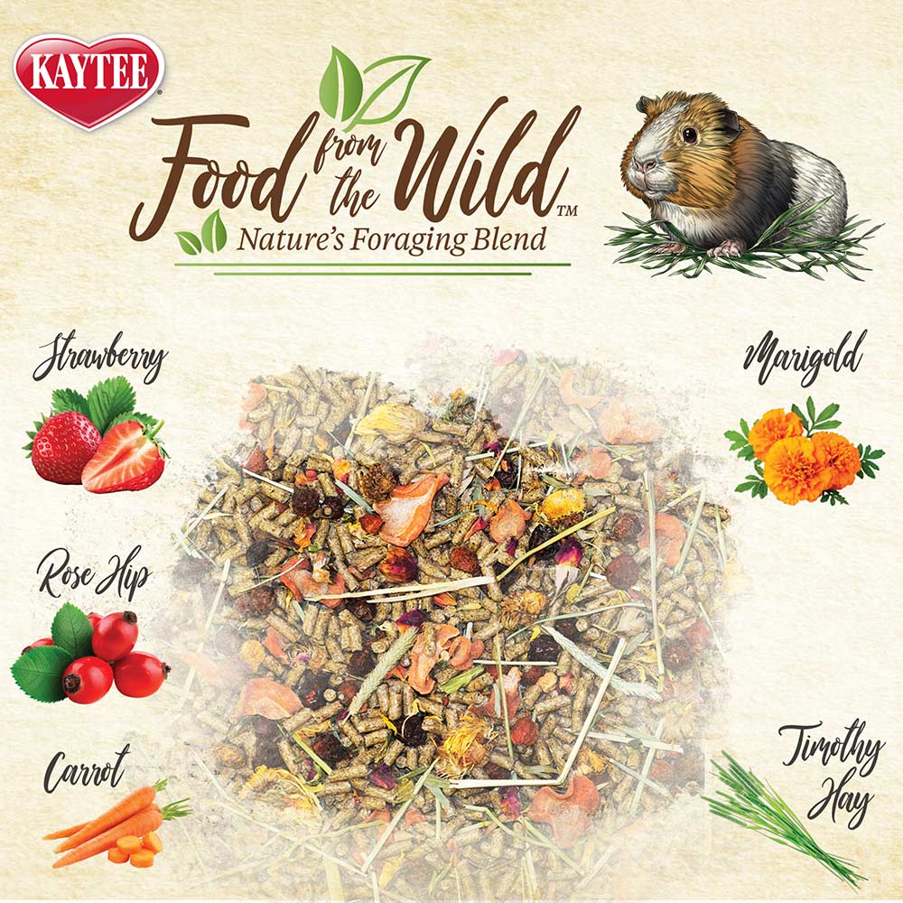 Kaytee Food from the Wild Guinea Pig Food 4 lb