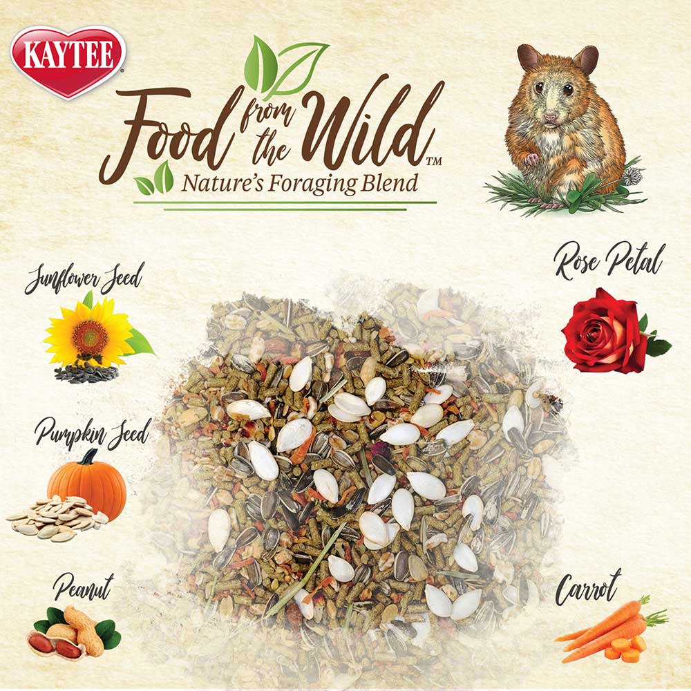Kaytee Food from the Wild Hamster Food 2 lb