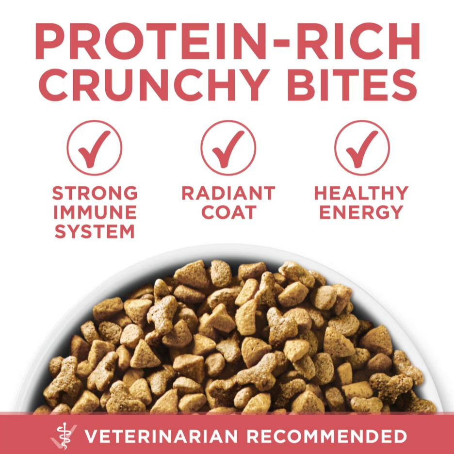 Purina ONE +Plus Indoor Advantage Real Salmon Adult Dry Cat Food 7 lb
