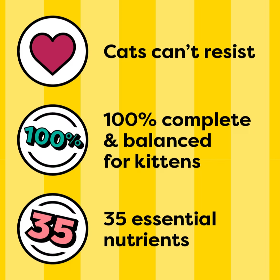 Whiskas Temptations Tasty Chicken & Dairy Flavor Dry Kitten Food 6.3 lb