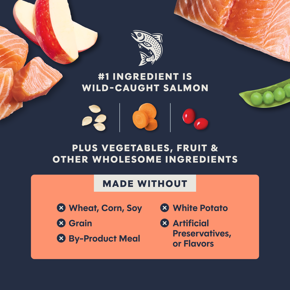 Instinct Raw Boost Grain-Free Recipe with Real Salmon All Life Stages Dry Cat Food 5 lb