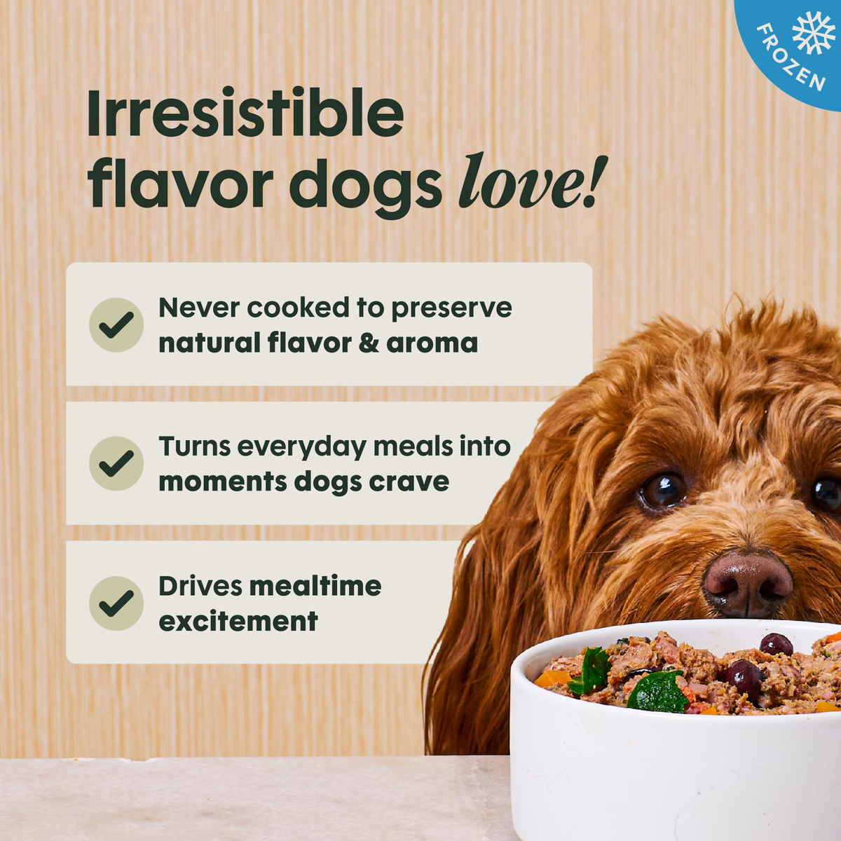 Instinct Frozen FreshRaw Meals Grass-Fed Lamb Recipe Adult Dog Food 8 oz