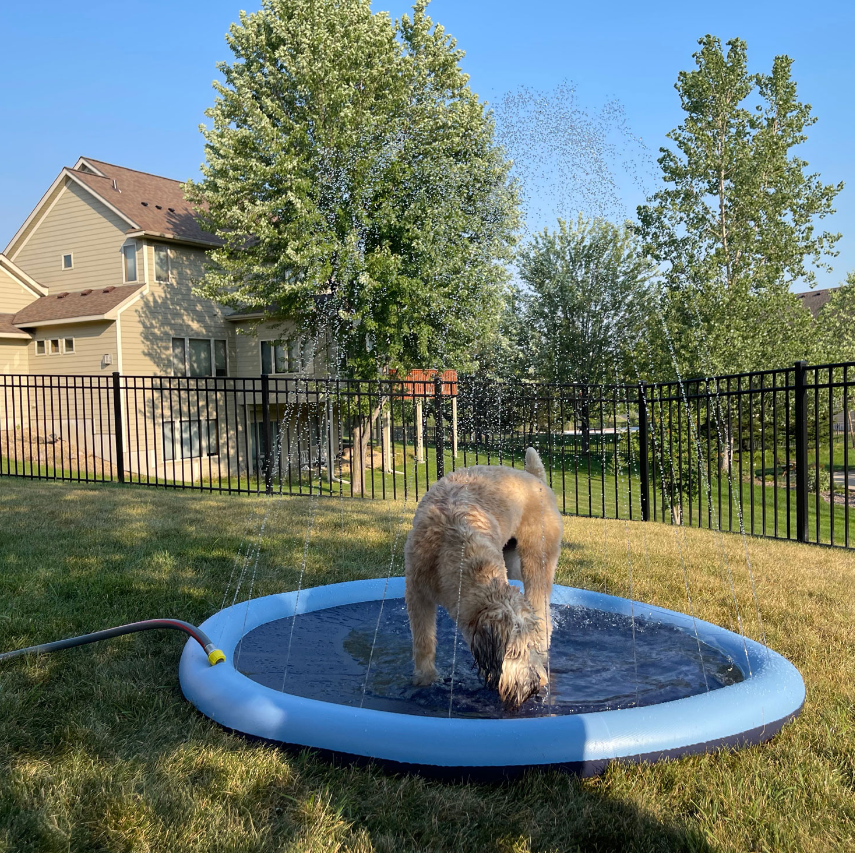 Royal Pet Companion Gear Dog Splash Pad 60 in