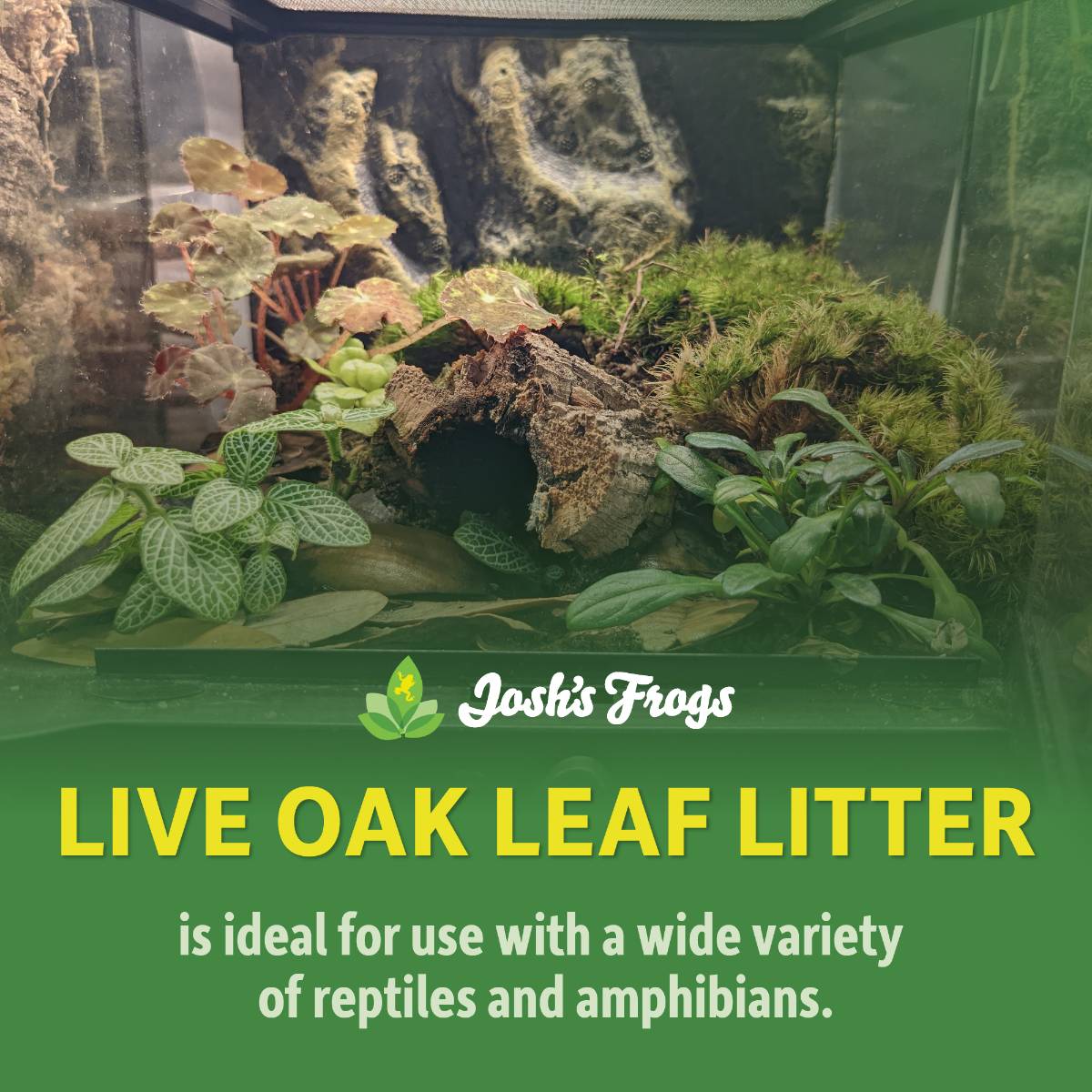 Josh's Frogs Live Oak Leaf Litter Substrate 1 gal