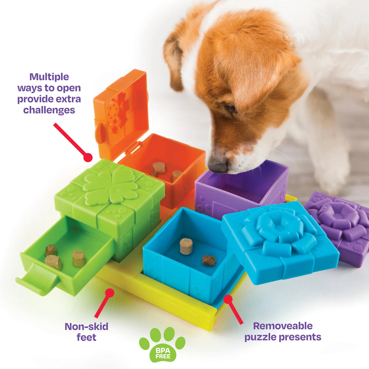 Brightkins Surprise Party Treat Puzzle
