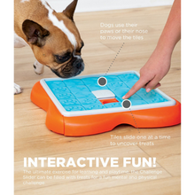 Outward Hound Challenge Slider Interactive Treat Puzzle Dog Toy