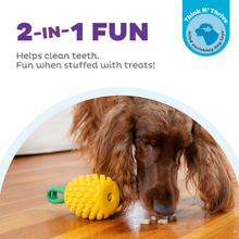 Outward Hound Dental Pineapple Dental Chew Toy and Interactive Treat Stuffer