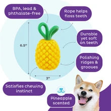 Outward Hound Dental Pineapple Dental Chew Toy and Interactive Treat Stuffer