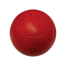 Spot The Barret Ball Indestructible Dog Toy 2.5 in