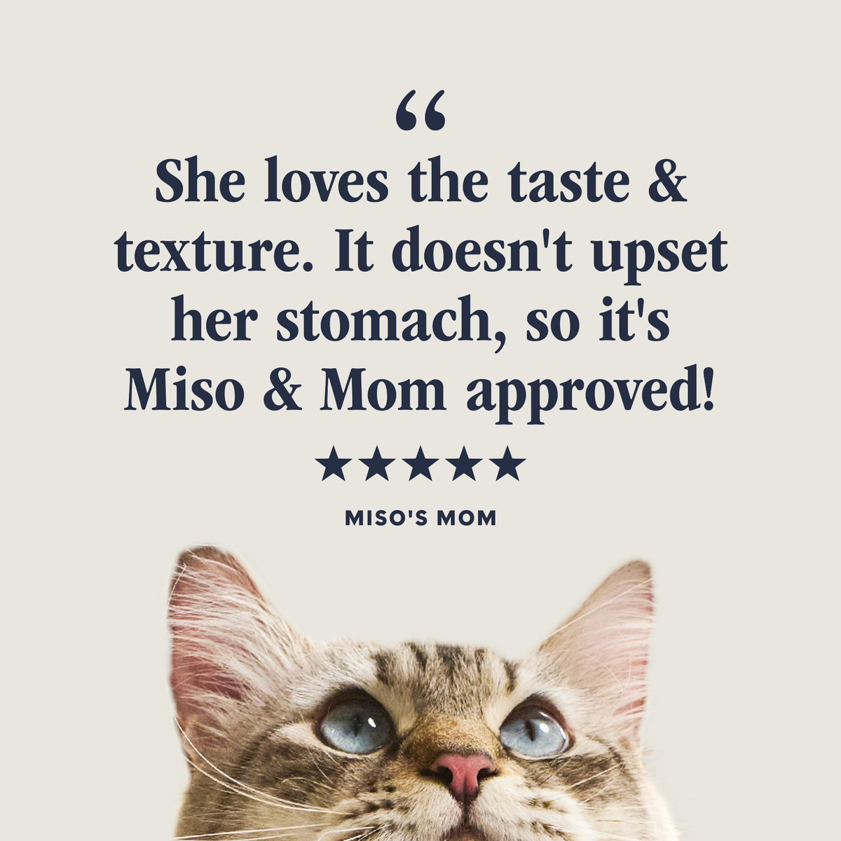 Instinct Minced Real Salmon Recipe in Savory Gravy Wet Cat Food