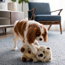 Kong Comfort Wuzzeez Quokka Dog Toy Medium