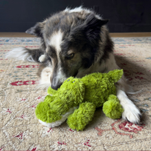 Kong Cozie Ali Alligator Plush Dog Toy Medium