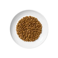 Merrick Purrfect Bistro Dry Cat Food Grain Free-Salmon and Sweet Potato Dry Cat Food