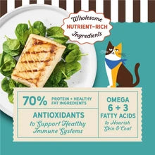 Merrick Purrfect Bistro Grain Free Wild-Caught Ocean Whitefish and Spinach Natural High Protein Dry Cat Food