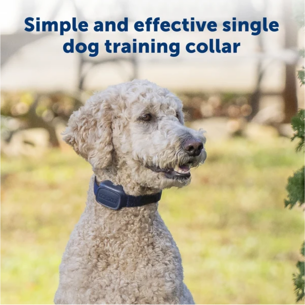 Petsafe Basic Dog Trainer Collar with Remote