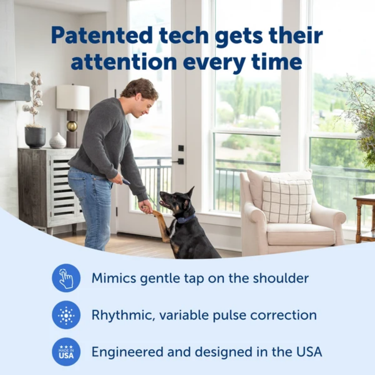 Petsafe Basic Dog Trainer Collar with Remote