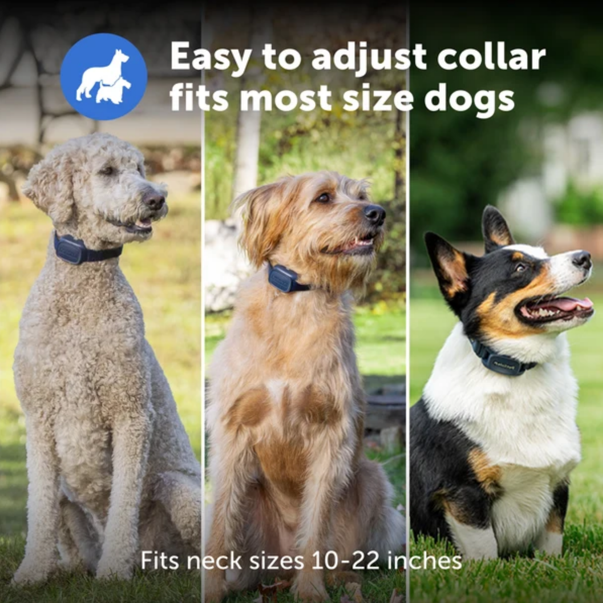 Petsafe Basic Dog Trainer Collar with Remote