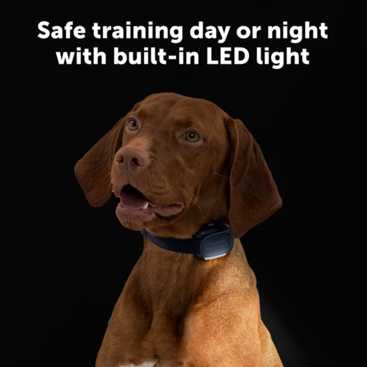 Petsafe Core Dog Trainer Collar with Remote