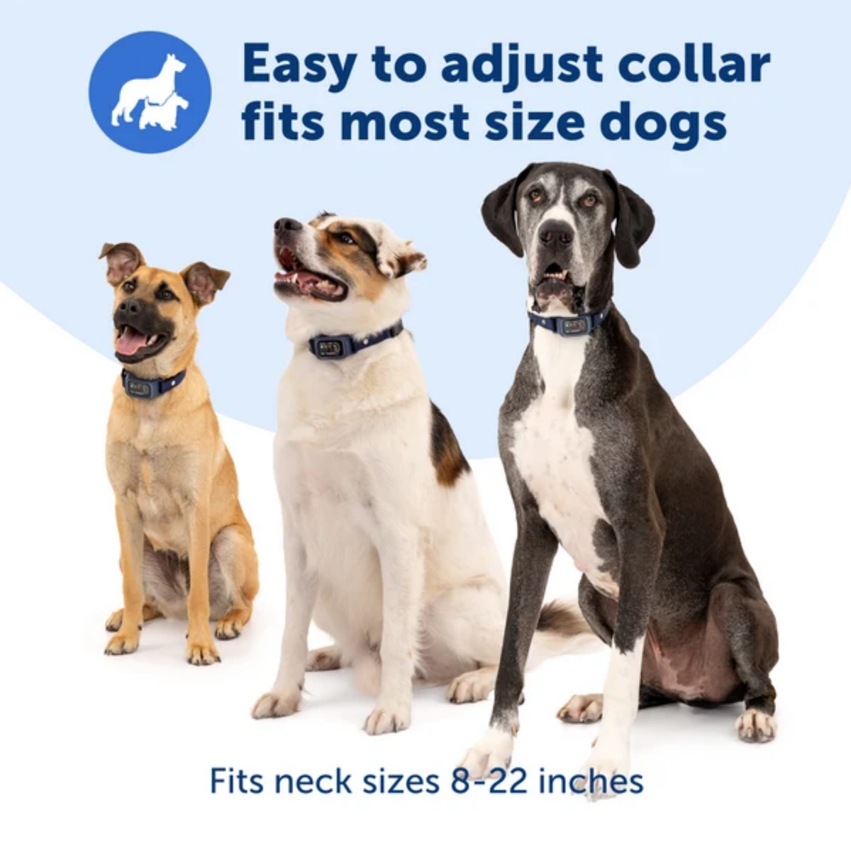 Petsafe Core Digital Bark Collar