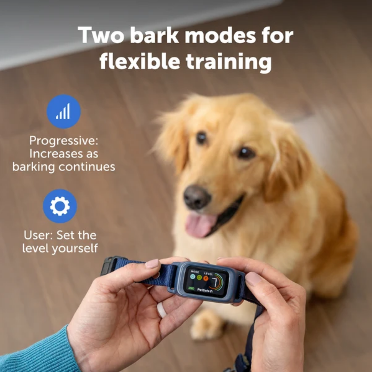 Petsafe Core Digital Bark Collar