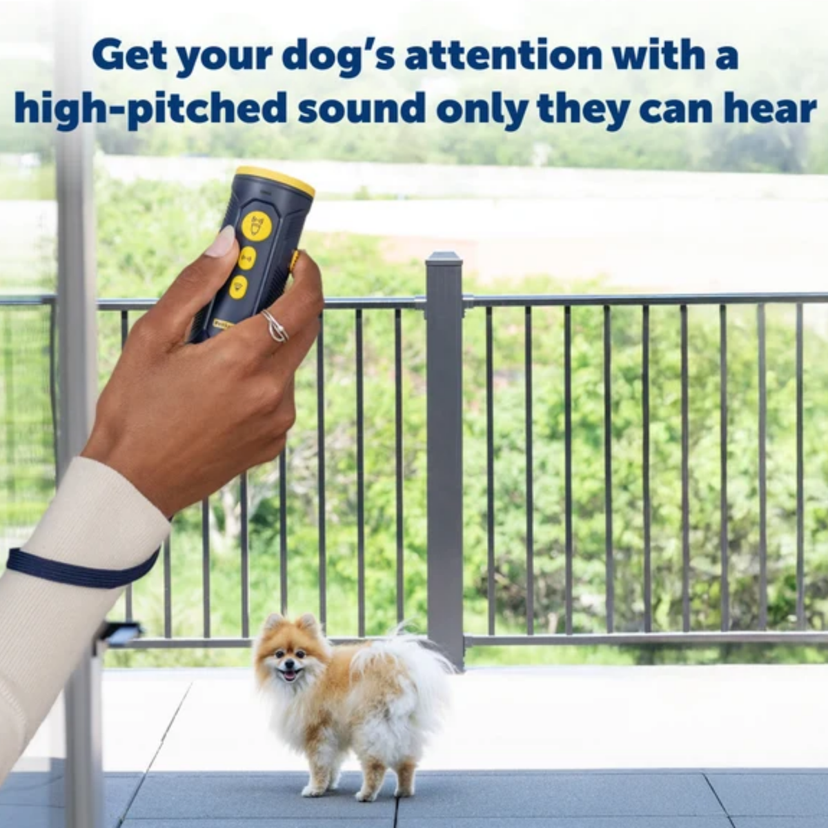 Petsafe Collarless Trainer Ultrasonic Training Tool