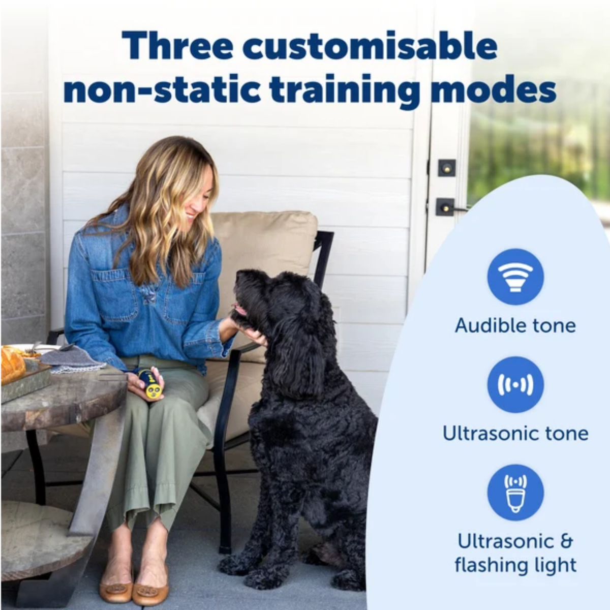 Petsafe Collarless Trainer Ultrasonic Training Tool
