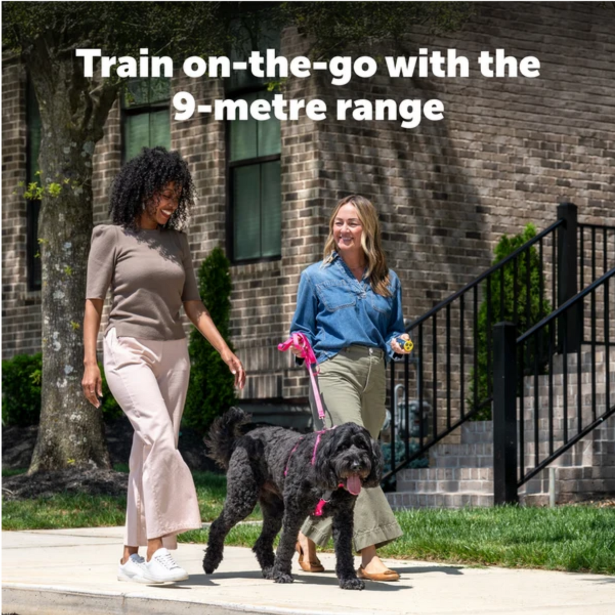 Petsafe Collarless Trainer Ultrasonic Training Tool