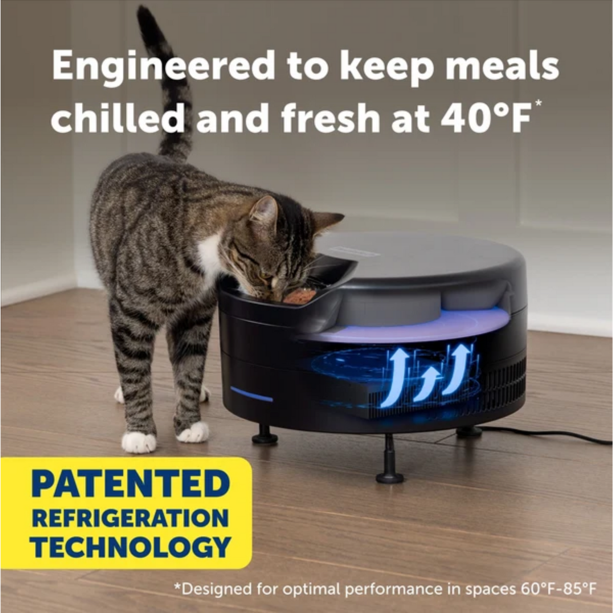 Petsafe Black FreshFeed Refrigerated Pet Feeder