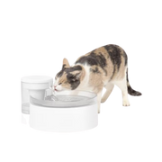 Petsafe Outlast Pumpless Pet Water Fountain 90 oz