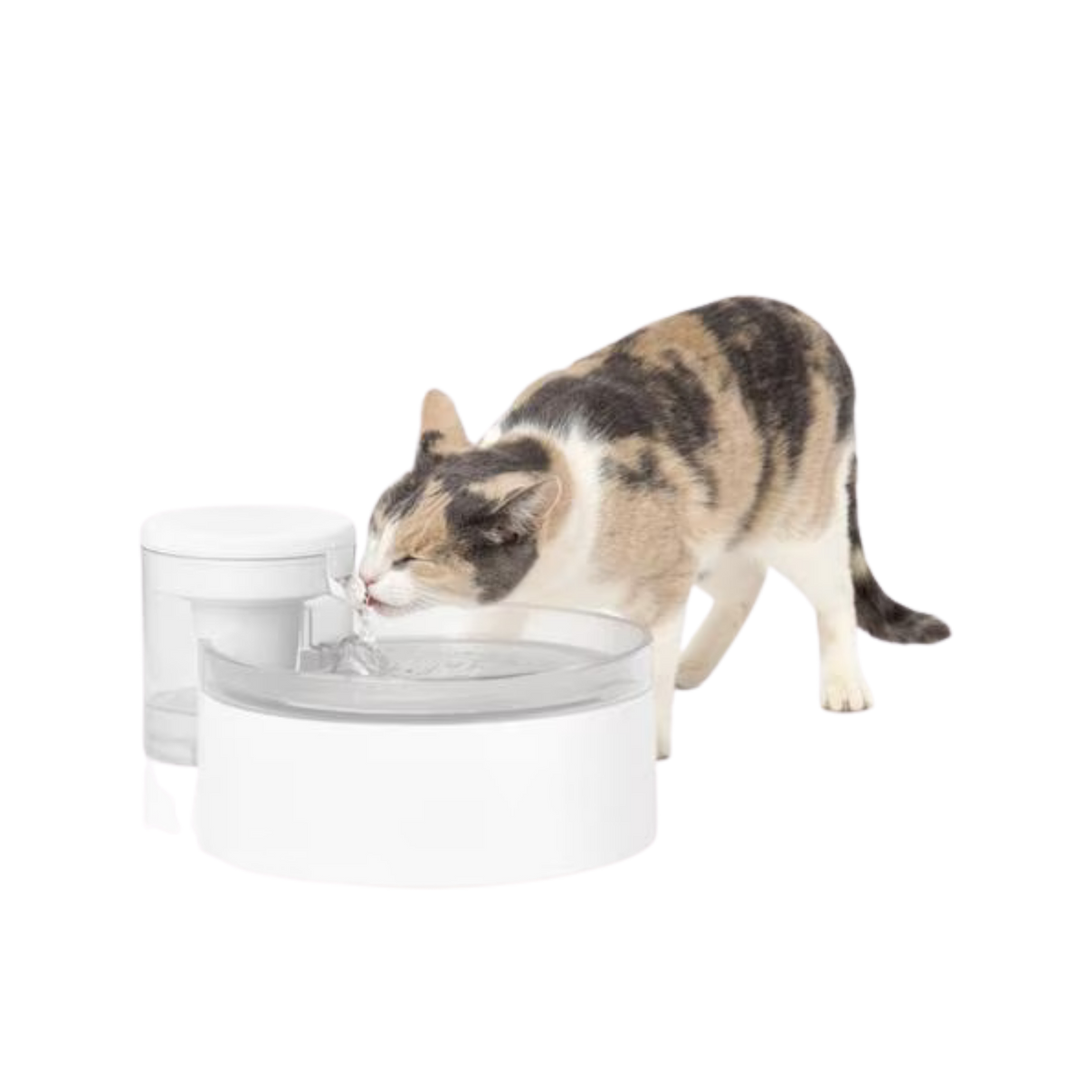 Petsafe Outlast Pumpless Pet Water Fountain 90 oz