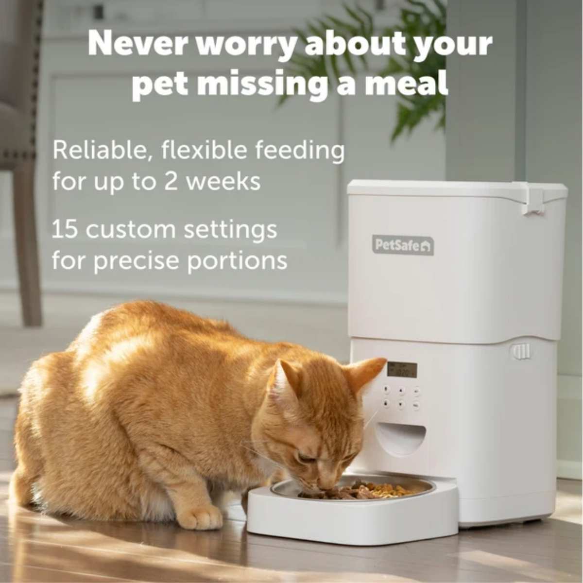 Petsafe Black FlexFeed Automatic Pet Feeder