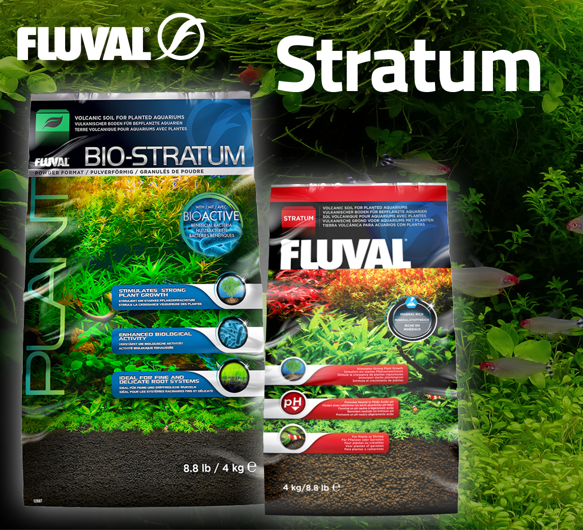 Substrate